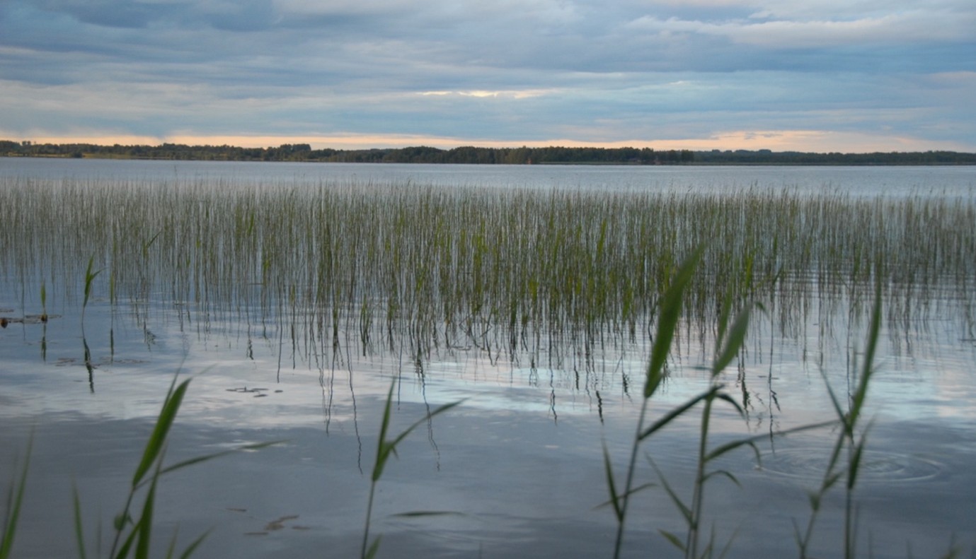 The State Forest Service reminds hunters of the regulations for waterfowl hunting